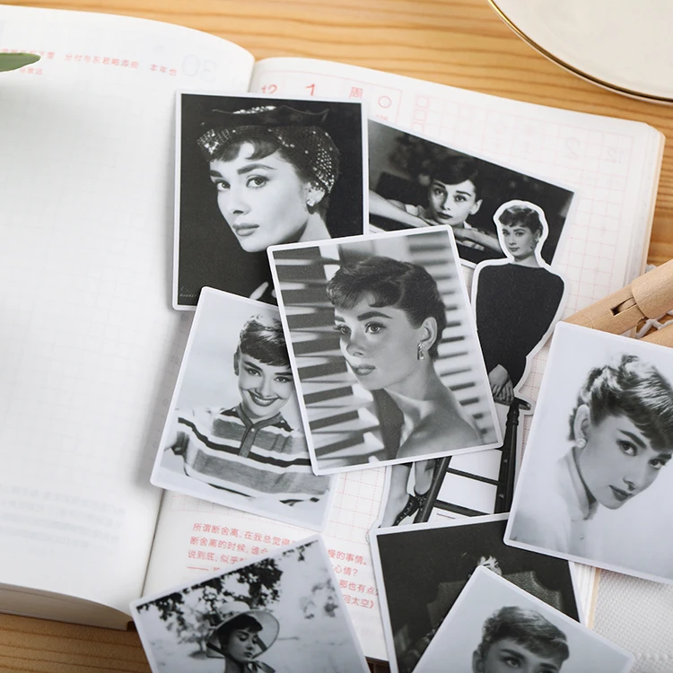 Винтаж фото красоты серии персонализированные альбом для стикеров Скрапбукинг