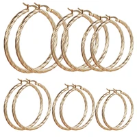 102030405060 mm stainless steel womens small or big hoop earrings party rock gift gold plated jewelry wholesale