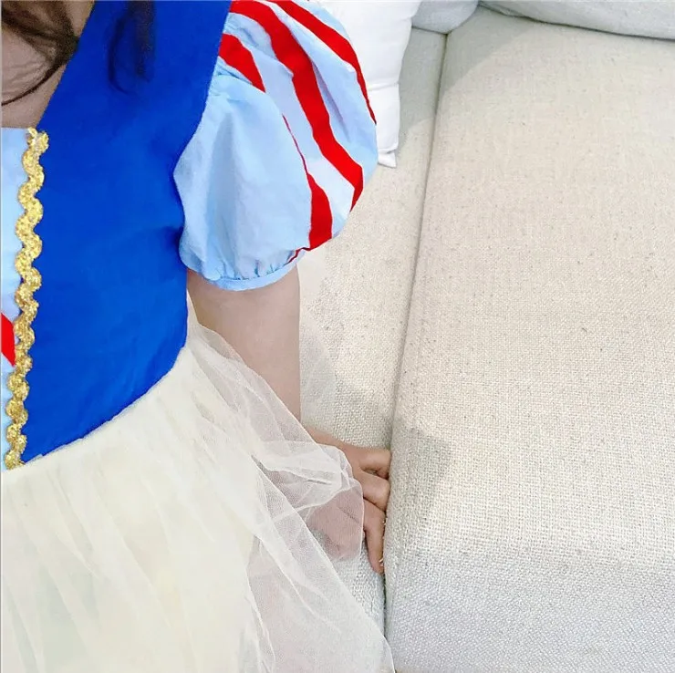 

Children's Performance Wear Princess Dress Evening Dress Cosplay
