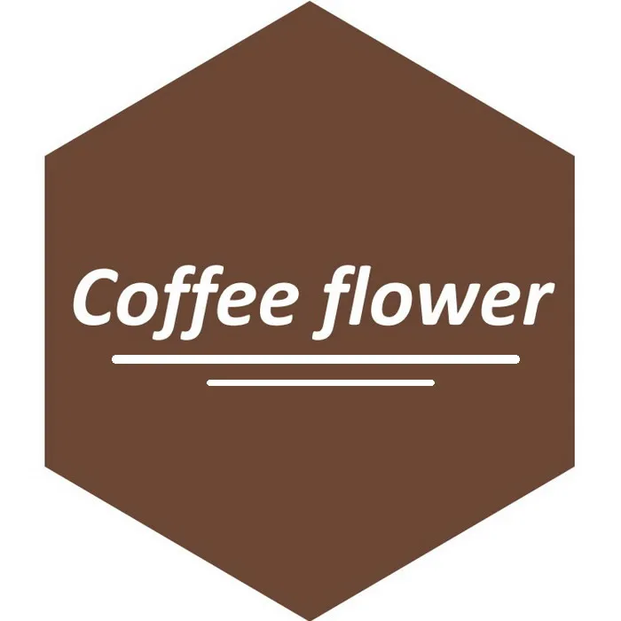Coffee flower Эргономичный рюкзак-кенгуру из хлопка для переноски младенцев; слинг для новорожденных; Mochila Portabebe; эргономичный кенгуру для малышей; BD01 - Цвет: Coffee flower