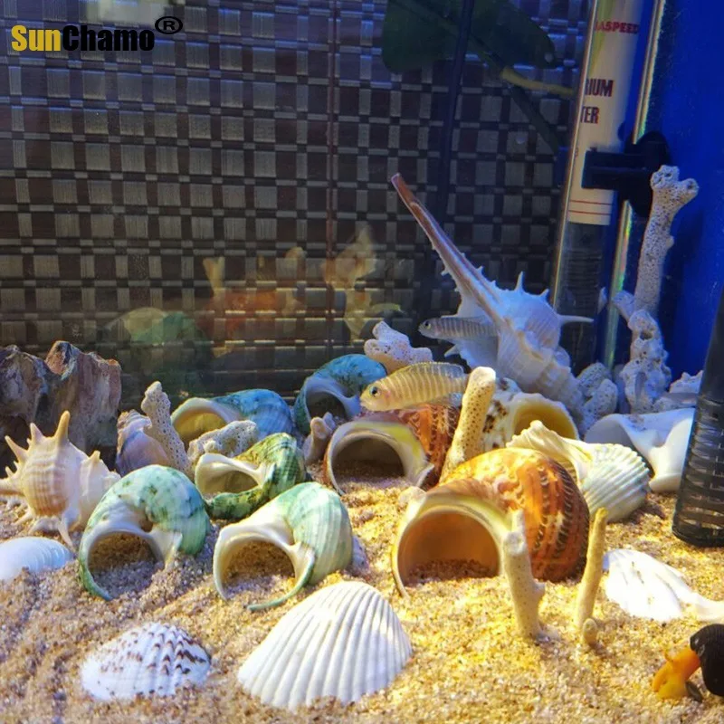 Спиральный корпус аквариум для рыб Crabs украшение аквариума натуральный раковины