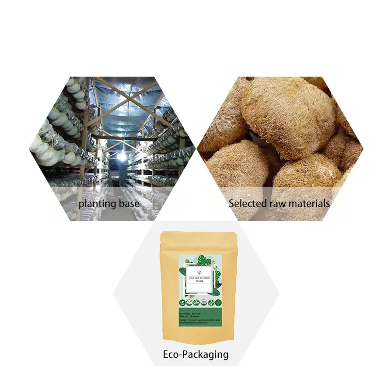 Львиная Грива Грибной Порошок/органический порошок гериция полисахарид|Блестки