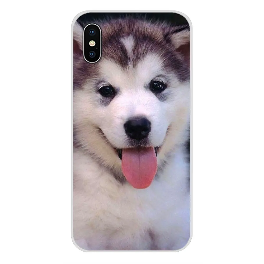 Accessories Phone Cases Covers For Samsung A10 A30 A40 A50 A60 A70 Galaxy S2 Note 2 3 Grand Core Prime Christmas Dogs Husky | Мобильные