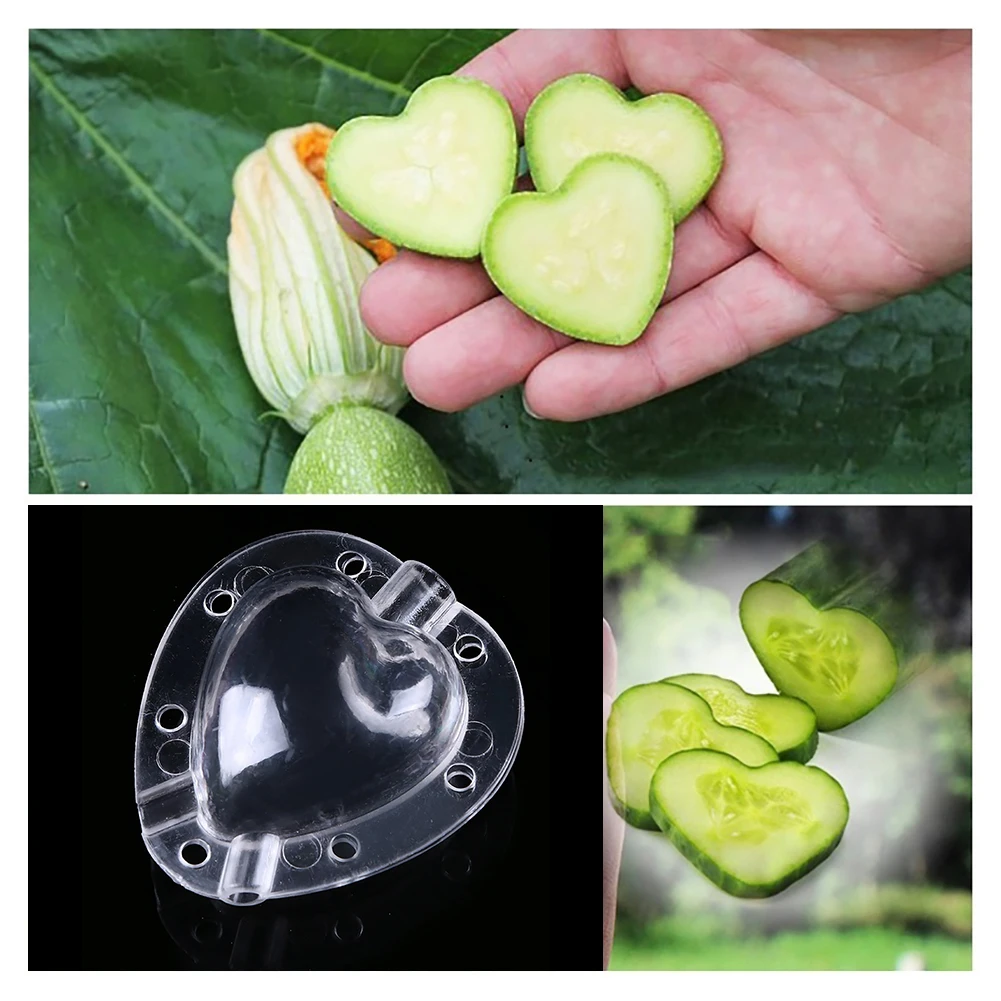 Пластиковая форма для выращивания фруктов в форме сердца Прозрачная инструменты