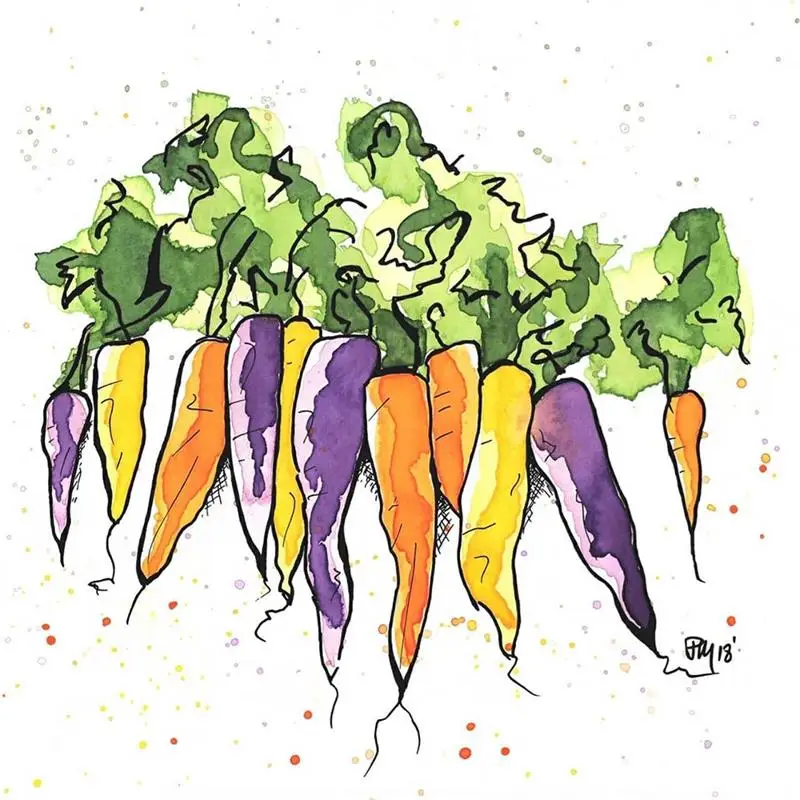 Прозрачные резиновые штампы с стеблями баклажана JC силиконовые для скрапбукинга