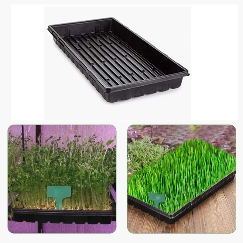 

6 Packs Plastic Growing Trays Seed Tray Seedling Starter for Greenhouse Hydroponics Seedlings Plant Germination