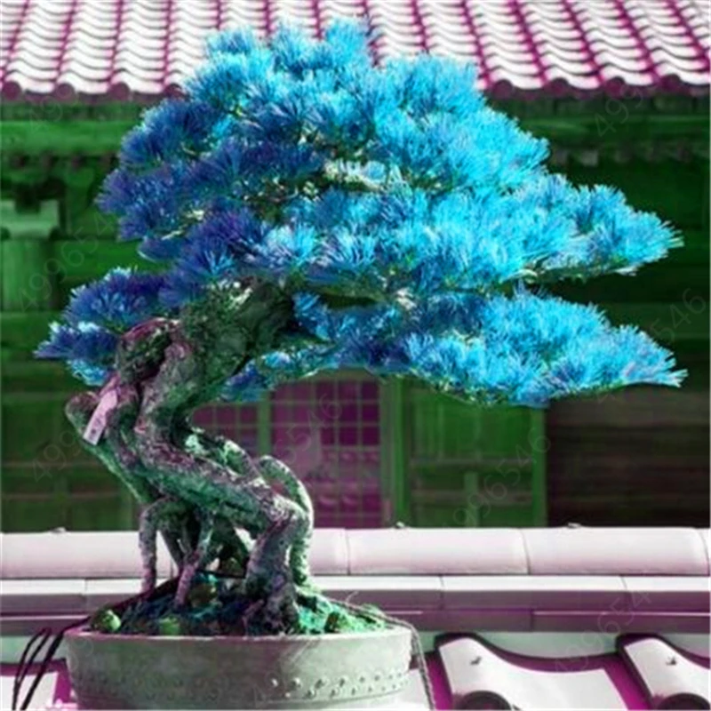 Аквариум Рок орнамент в стиле бонсай аквариум для рыб скалы искусственные