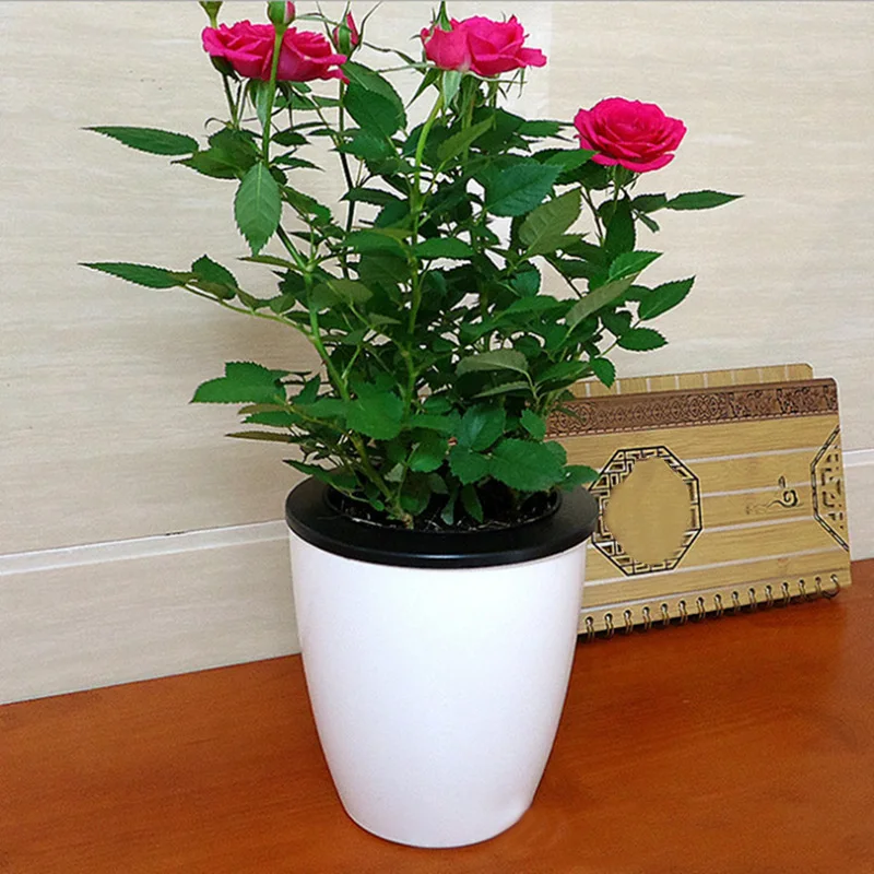 Открытый цветок самополивающаяся Горшок стол подарок дом PP настенный милый