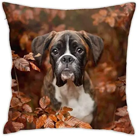 

Pooizsdzzz Boxer s Autumn Theme Pillow Cases,Art Decorative Cushion Cover Pillowcase Home Decoration Sofa 18x18 Inches 45x45cm