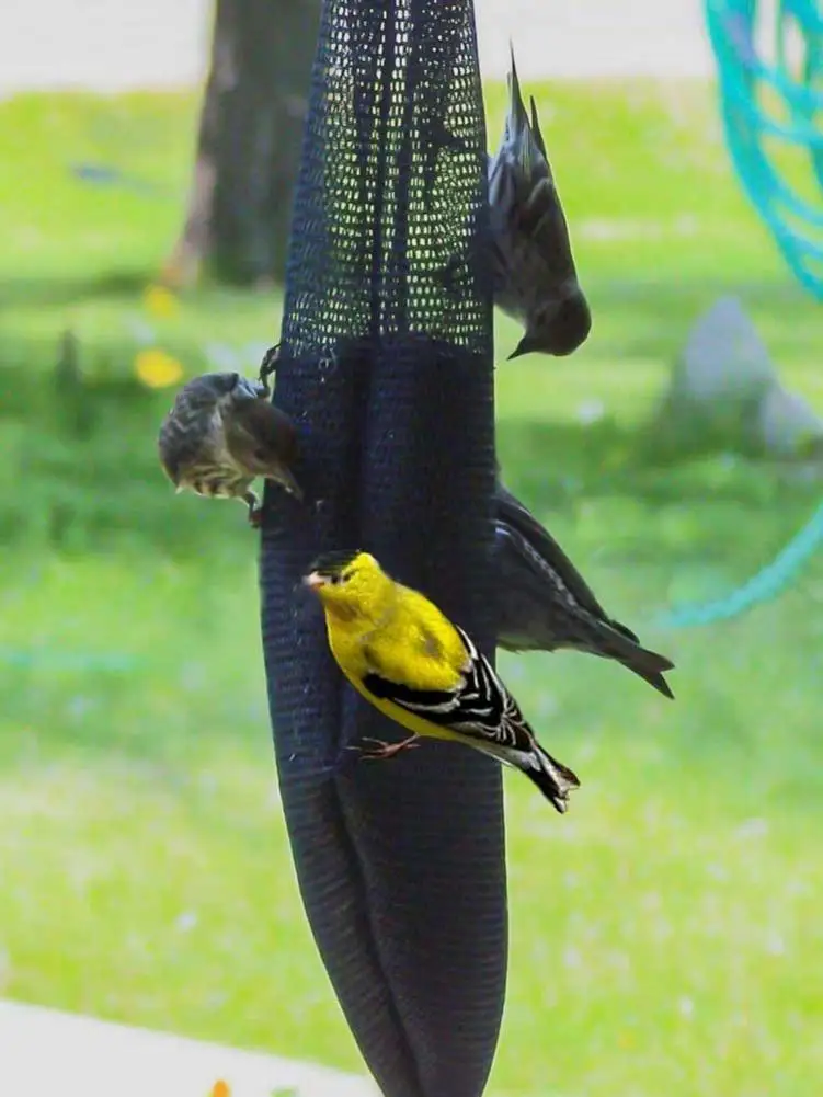 

All Seasons Universal Bird Feeder Kits Mesh Feeding Seed Bag Outdoor Hanging Food Dispenser Park Garden Pet Bird Supplies