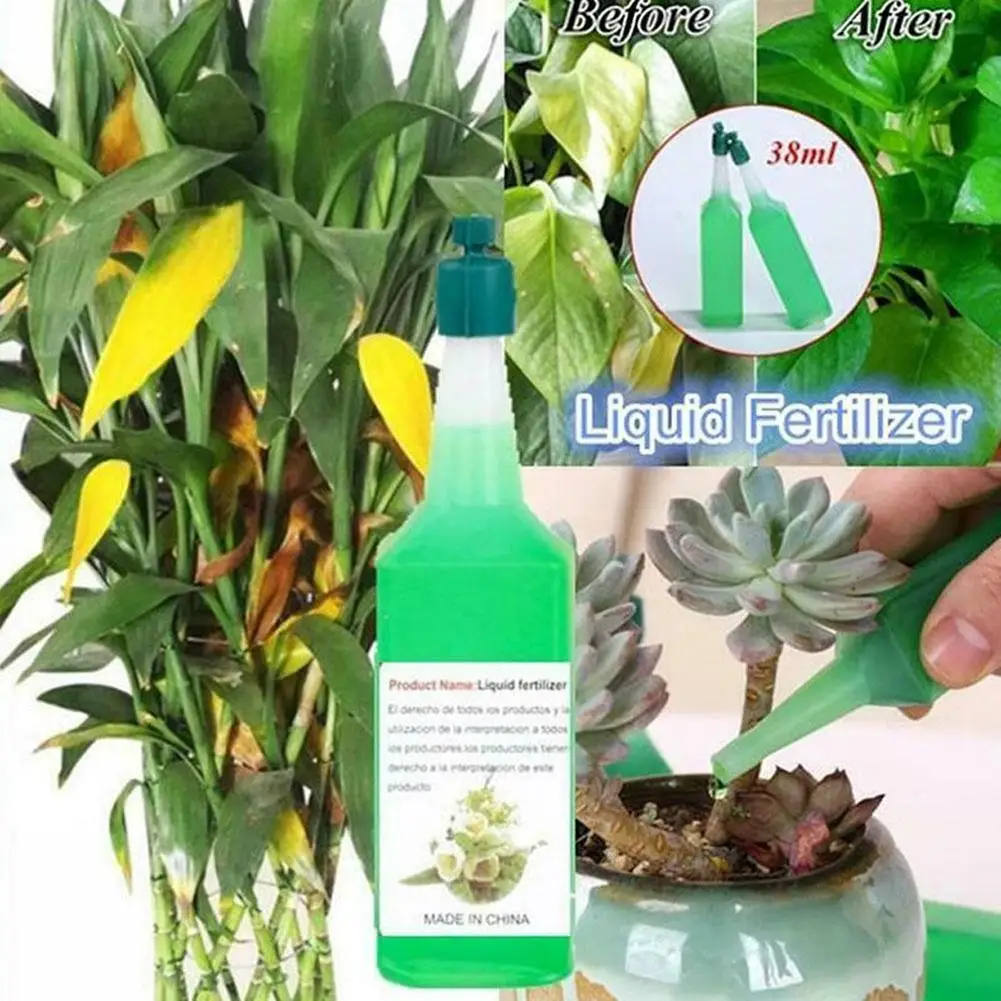 

6PC 38 ML Bottle Organic Castings Concentrate Fertilizer Olive Bonsai Tree Hydroponic Nutrient Solution Universal Potted Plant