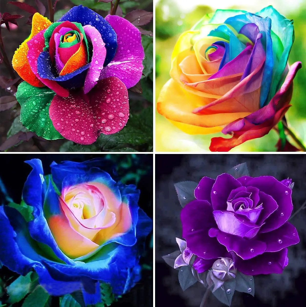 

Набор для алмазной вышивки «сделай сам», 4 панели