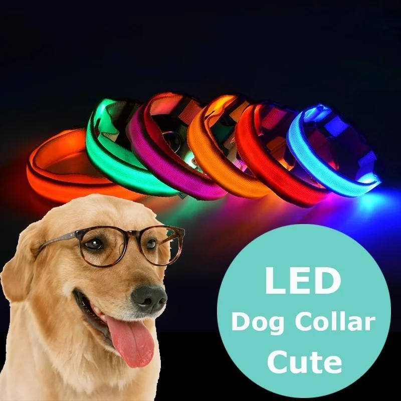 Usb зарядка Led собачий ошейник Ночная безопасность мигающий светится в темноте