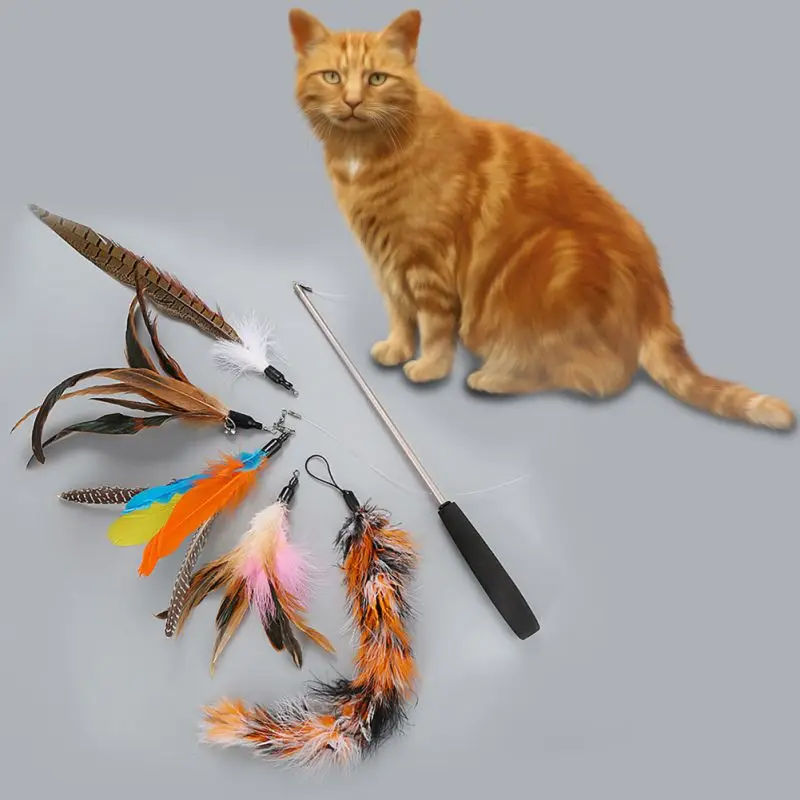 

Funny Kitten Cat Teaser Interactive Toy Rod Feather Toys For Pet Cats Stick Wire Chaser Wand Toy with 5 Replaceable Head