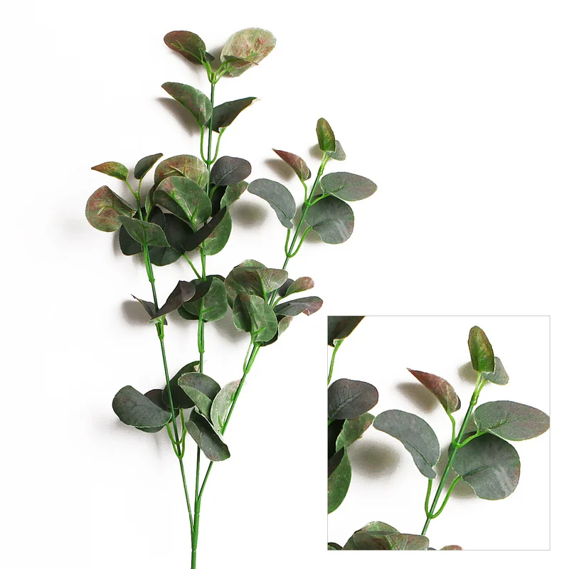 Nordic длинные разветвленным eucalyptu лист деньги моделирование растение для