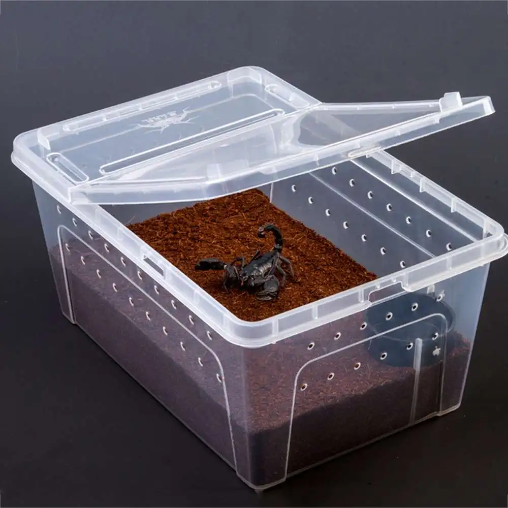 Коробка для кормления питомцев рептилий высокая прозрачная черепаха лазание