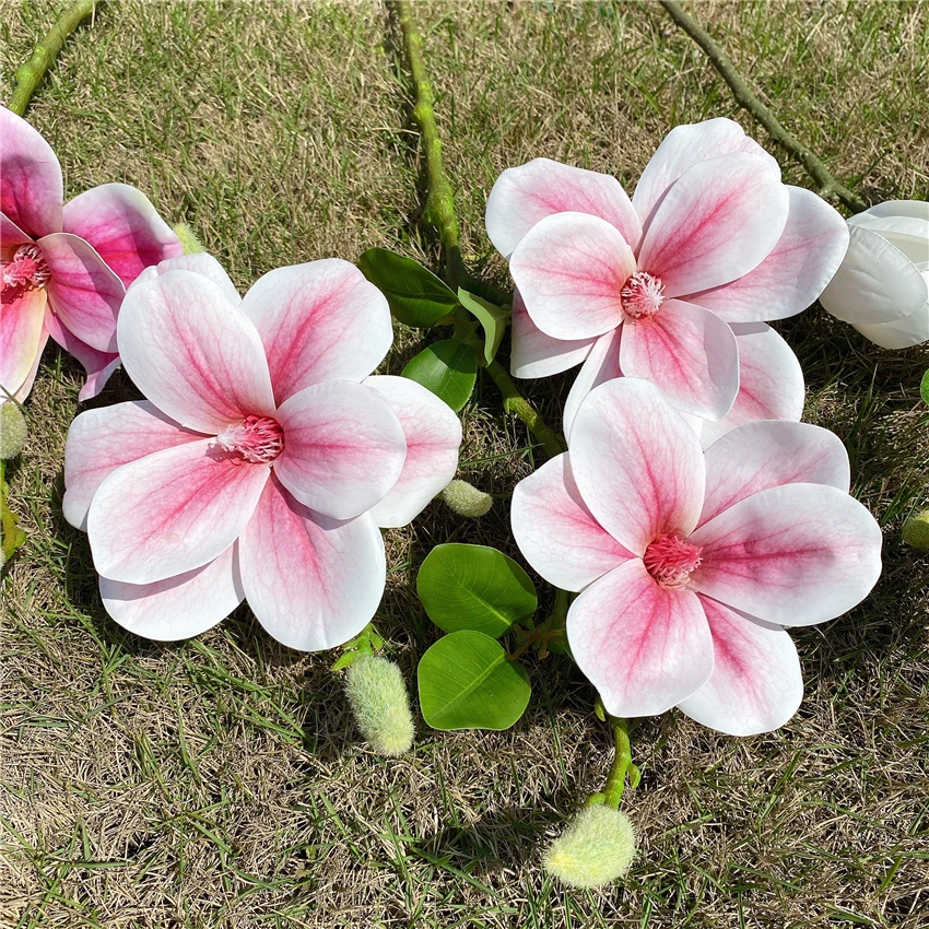 Натуральный большой цветок магнолии ветка с листьями домашний декор