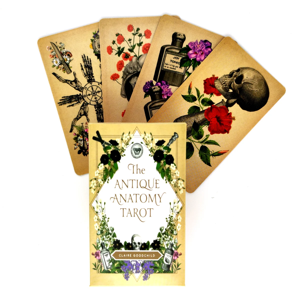 

The Antique Anatomy Tarot Cards Mystical Guidance Divination Entertainment Partys Board Game Supports Wholesale 78 Sheets/Box