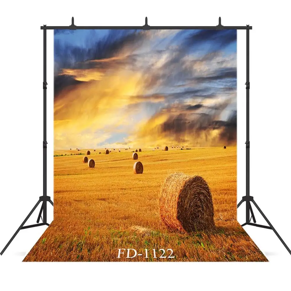 

Late autumn cartoon prairie dusk golden theme natural scenery photography background photography background