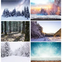 shengyongbao art fabric photography backdrops prop snow scene photography background 2021112xj 06