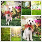 Avezano фон для фотосъемки сказочный лес Луг бабочка ребенок день рождения питомец портрет фотография фон для фотостудии