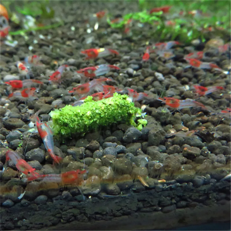 Хит продаж большие размеры 35 g с украшением в виде кристаллов красная креветка