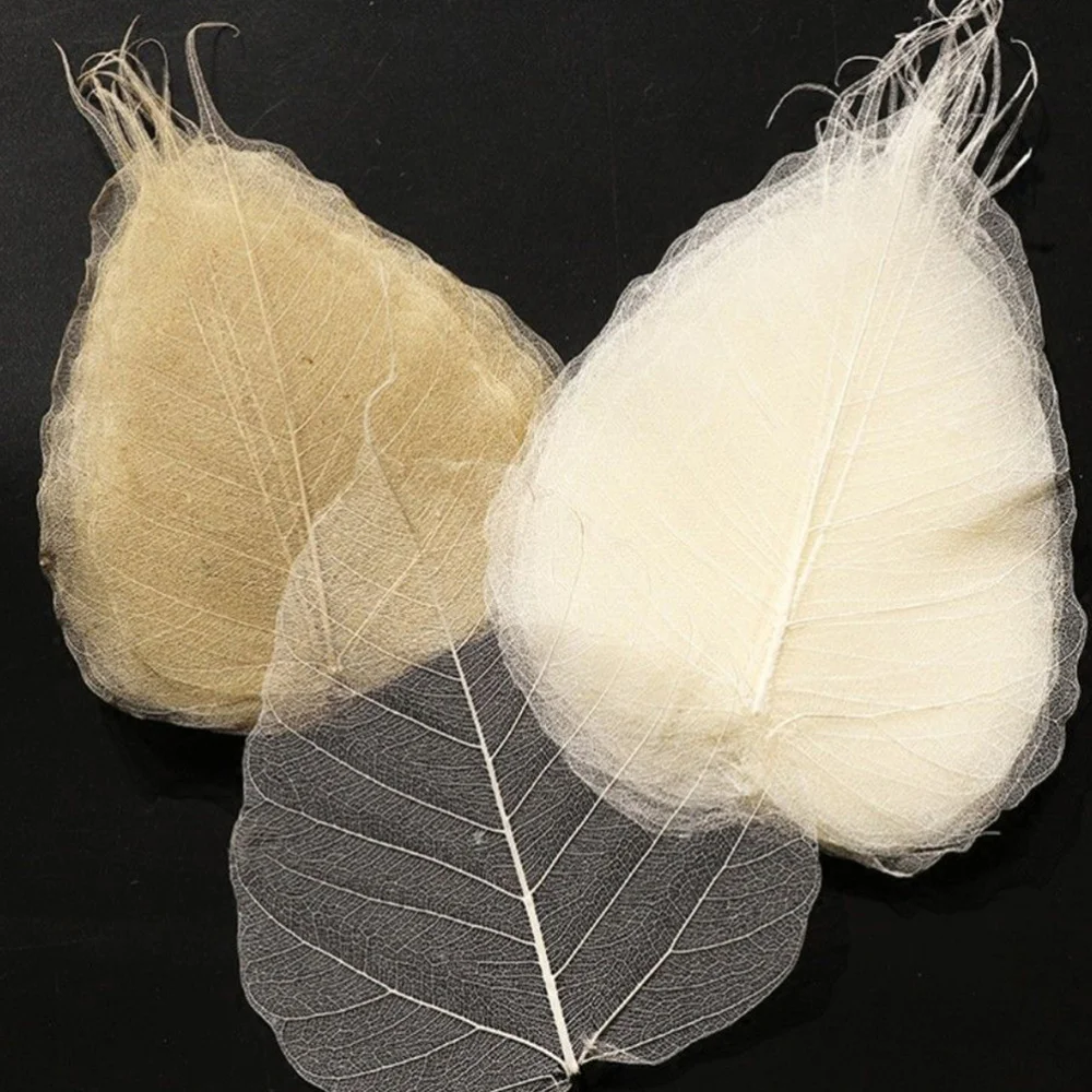 

2Pcs Stainless Steel Bodhi Leaf Tea Filter Mesh Personality Bookmarks Tea Accessories for Home Tea Shop (Type A)
