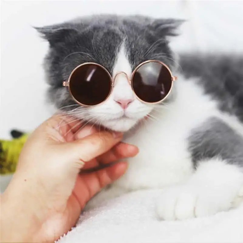 

Pet Products Lovely Vintage Round Cat Sunglasses Reflection Eye Wear Glasses For Small Dog Cat Pet Photos Props Accessories