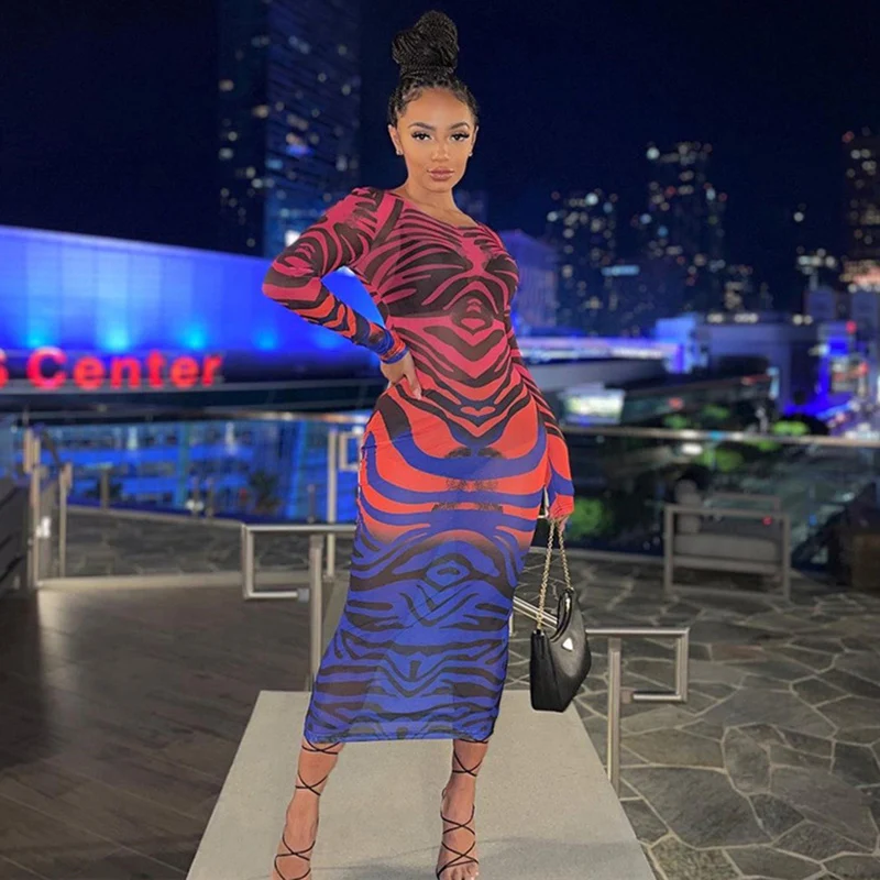 

Women's Autumn Printed Mesh See-through Bodycon Midi Dress Sexy O-neck Long Sleeve Skinny Dresses Fashion Clubwear Casual Street