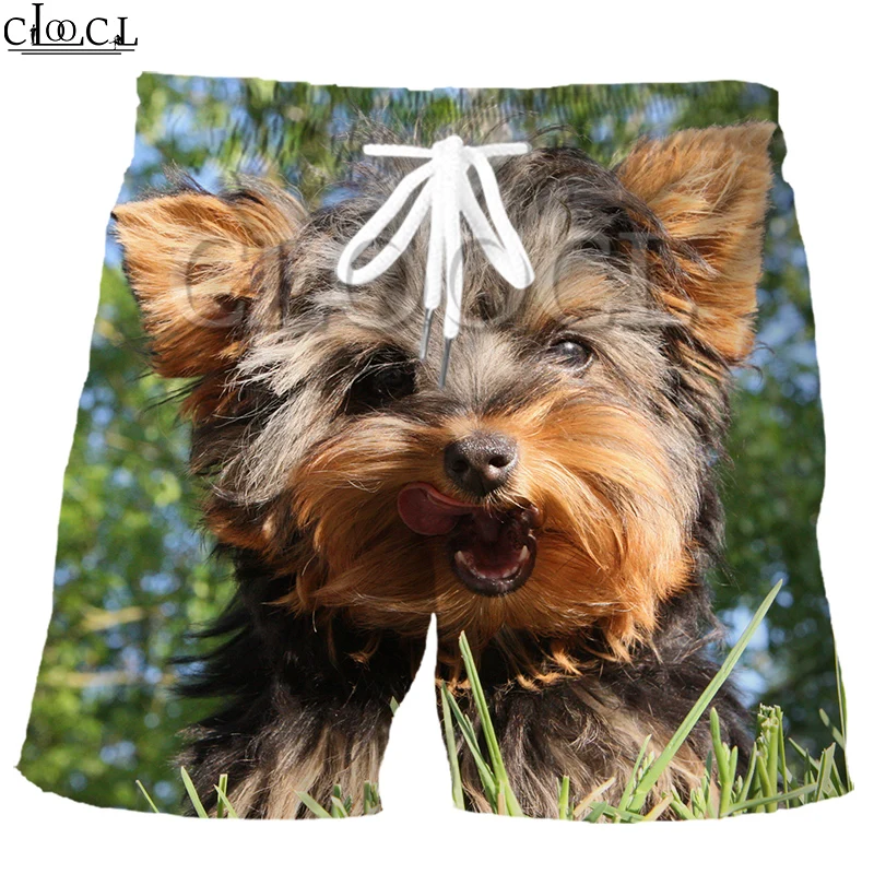 Π¨ΠΎΡΡΡ CLOOCL ΠΌΡΠΆΡΠΊΠΈΠ΅ Ρ ΠΏΡΠΈΠ½ΡΠΎΠΌ ΠΆΠΈΠ²ΠΎΡΠ½ΡΡ
, ΡΠΎΠ±Π°ΠΊΠΈ, ΠΉΠΎΡΠΊΡΠΈΡΡΠΊΠΎΠ³ΠΎ ΡΠ΅ΡΡΠ΅ΡΠ°, ΡΠ»Π°ΡΡΠΈΡΠ½ΡΠ΅ ΠΌΠΎΠ΄Π½ΡΠ΅ ΠΏΠ»ΡΠΆΠ½ΡΠ΅ ΡΡΠ°Π½Ρ Π² ΡΡΠΈΠ»Π΅ Π₯Π°ΡΠ°Π΄Π·ΡΠΊΡ, Π»Π΅ΡΠ½ΠΈΠ΅ Π¨ΠΎΡΡΡ CLOOCL ΠΌΡΠΆΡΠΊΠΈΠ΅ Ρ ΠΏΡΠΈΠ½ΡΠΎΠΌ ΠΆΠΈΠ²ΠΎΡΠ½ΡΡ
, ΡΠΎΠ±Π°ΠΊΠΈ, ΠΉΠΎΡΠΊΡΠΈΡΡΠΊΠΎΠ³ΠΎ ΡΠ΅ΡΡΠ΅ΡΠ°, ΡΠ»Π°ΡΡΠΈΡΠ½ΡΠ΅ ΠΌΠΎΠ΄Π½ΡΠ΅ ΠΏΠ»ΡΠΆΠ½ΡΠ΅ ΡΡΠ°Π½Ρ Π² ΡΡΠΈΠ»Π΅ Π₯Π°ΡΠ°Π΄Π·ΡΠΊΡ, Π»Π΅ΡΠ½ΠΈΠ΅