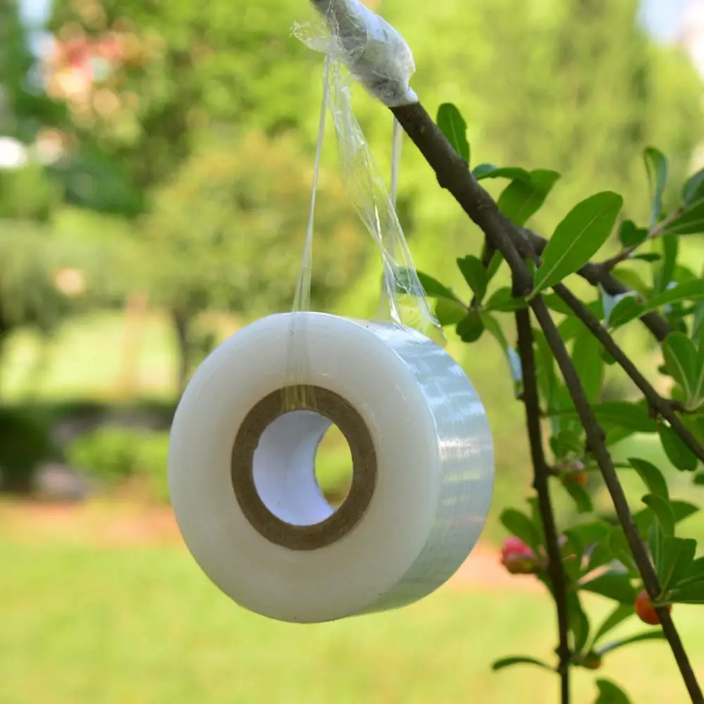 Растягивающаяся прозрачная пленка для ремонта растений хорошая эластичность