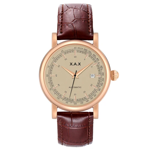 rose gold brown Самовзводные автоматические часы для мужчин большие наручные часы Механические водонепроницаемые часы из нержавеющей стали - Цвет: rose gold brown