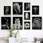 Настенная картина со львом, тигром, слоном, леопардом, лошадью, зеброй, Рино на холсте, постеры и принты в скандинавском стиле, настенные картины для гостиной