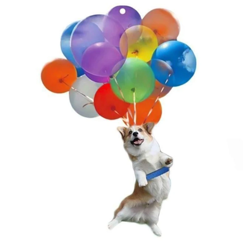 

Cat Pendant Cute Anime Car Accessorie Auto Rearview Mirror Pendant Auto Decoraction Home Room Decor Bag Hanging Car Styling