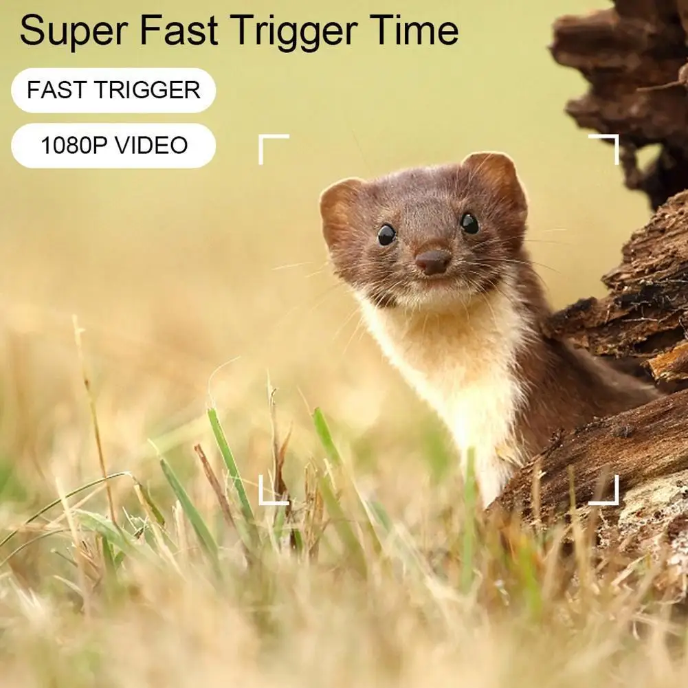 

Охотничья тропическая камера 20 МП 1080P, водонепроницаемая инфракрасная камера наблюдения с пассивным ИК-датчиком, камера наблюдения за дико...