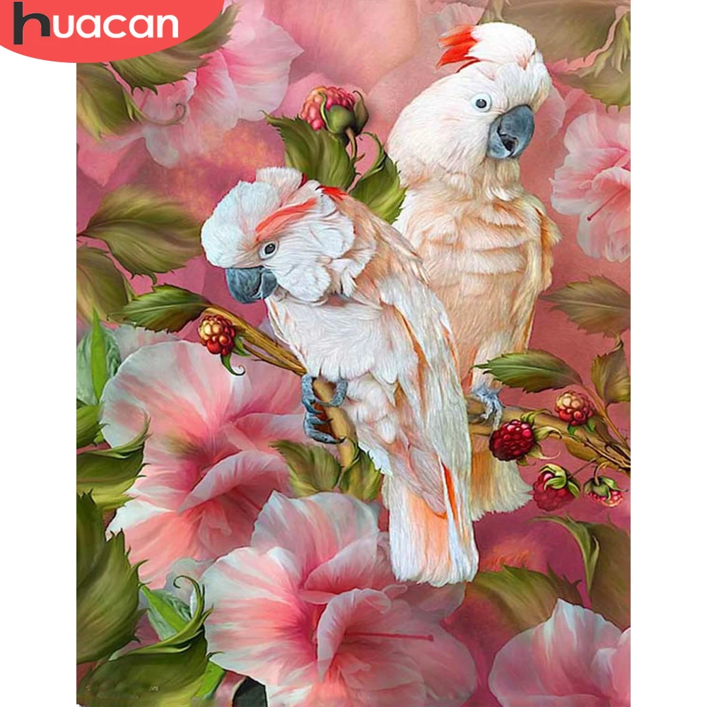 

HUACAN Painting By Number Animals Drawing On Canvas Wall Art Hand Painted DIY Picture By Numbers Parrot Home Decoration