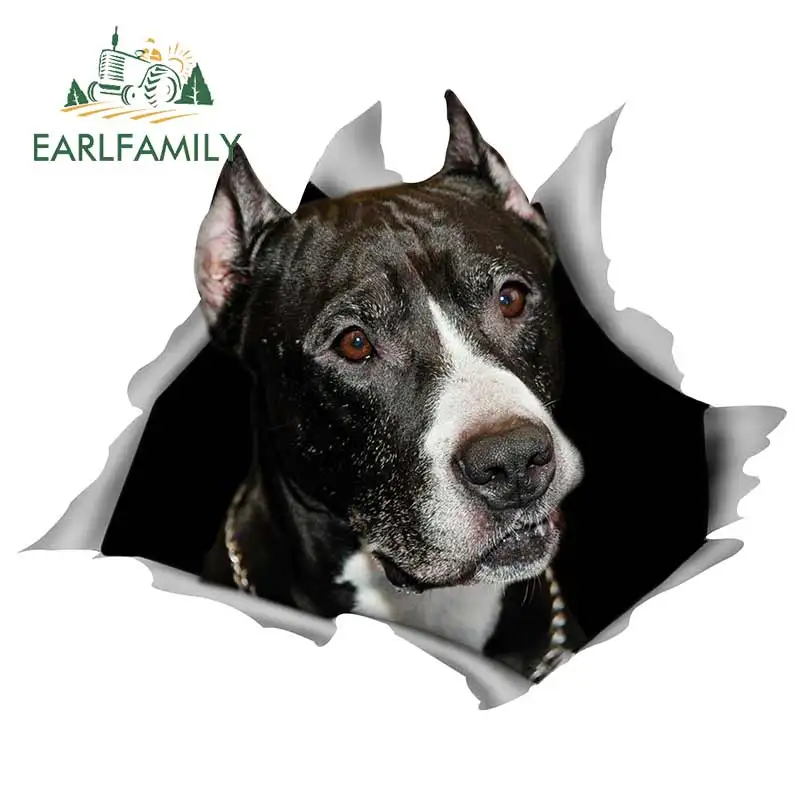 EARLFAMILY 13 см x 10 5 для собаки Мультяшные автомобильные наклейки аксессуары наклейка