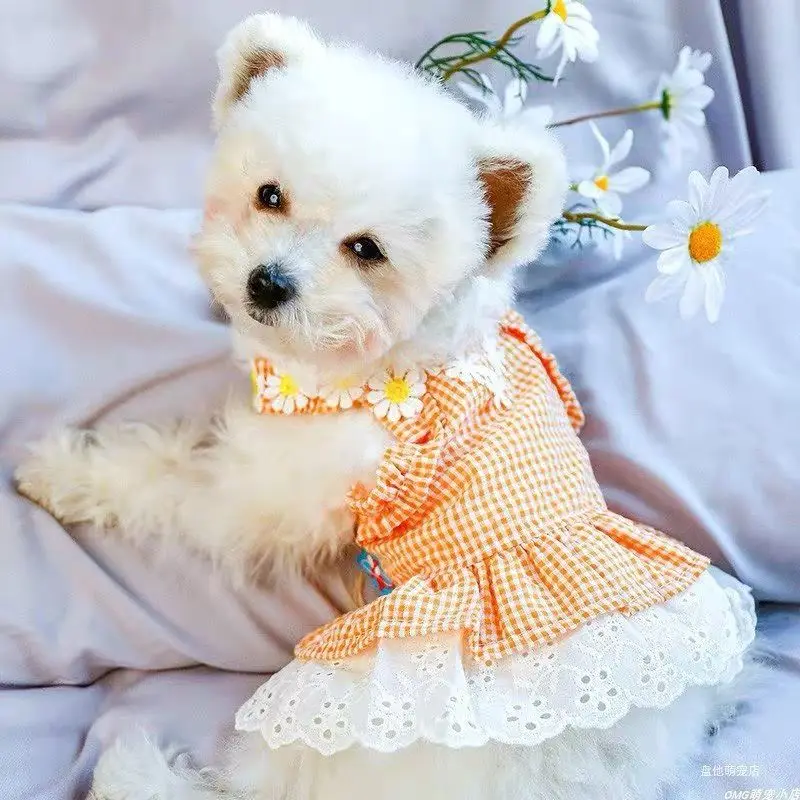 

2021 latest pet Chenery bear Bomei small dog summer sun dress suspender Teddy dog clothes thin Princess