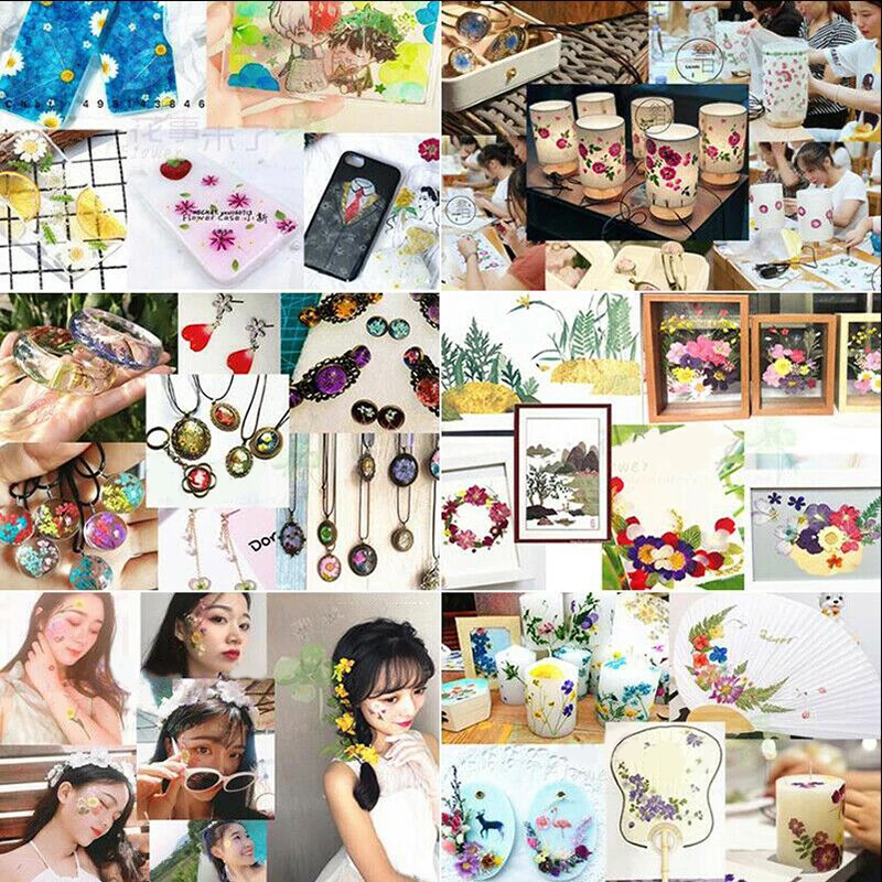 

1pc Beautiful Real Pressed Flower Dried Flowers For Art Craft Scrapbooking Resin Jewelry Craft Making Phone Case DIY Stuff New