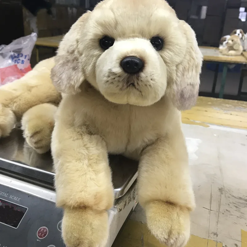 7 748 00 Dorimytrader 品質シミュレーション動物ゴールデンレトリバー犬ぬいぐるみぬいぐるみソフト獲物犬ペット人形 50 23 センチメートル