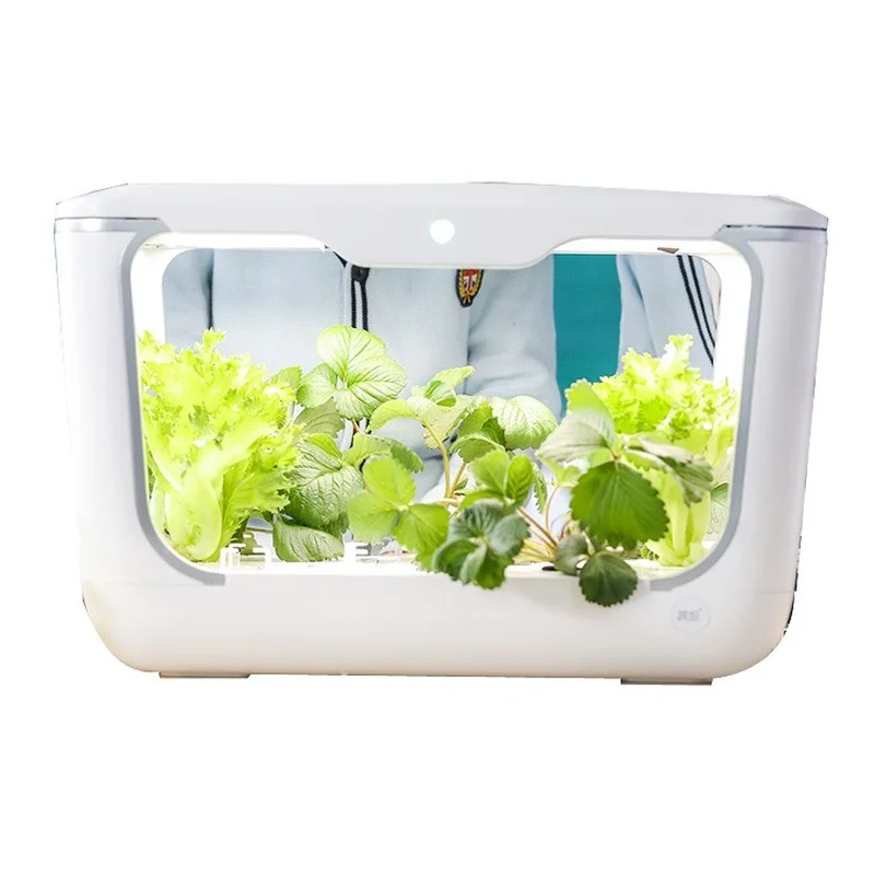 

smart garden hydroponics indoor planter for lettuce growing box