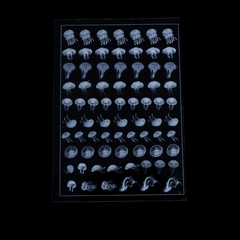 Прозрачная эпоксидная форма из Медузы для изготовления украшений сделай