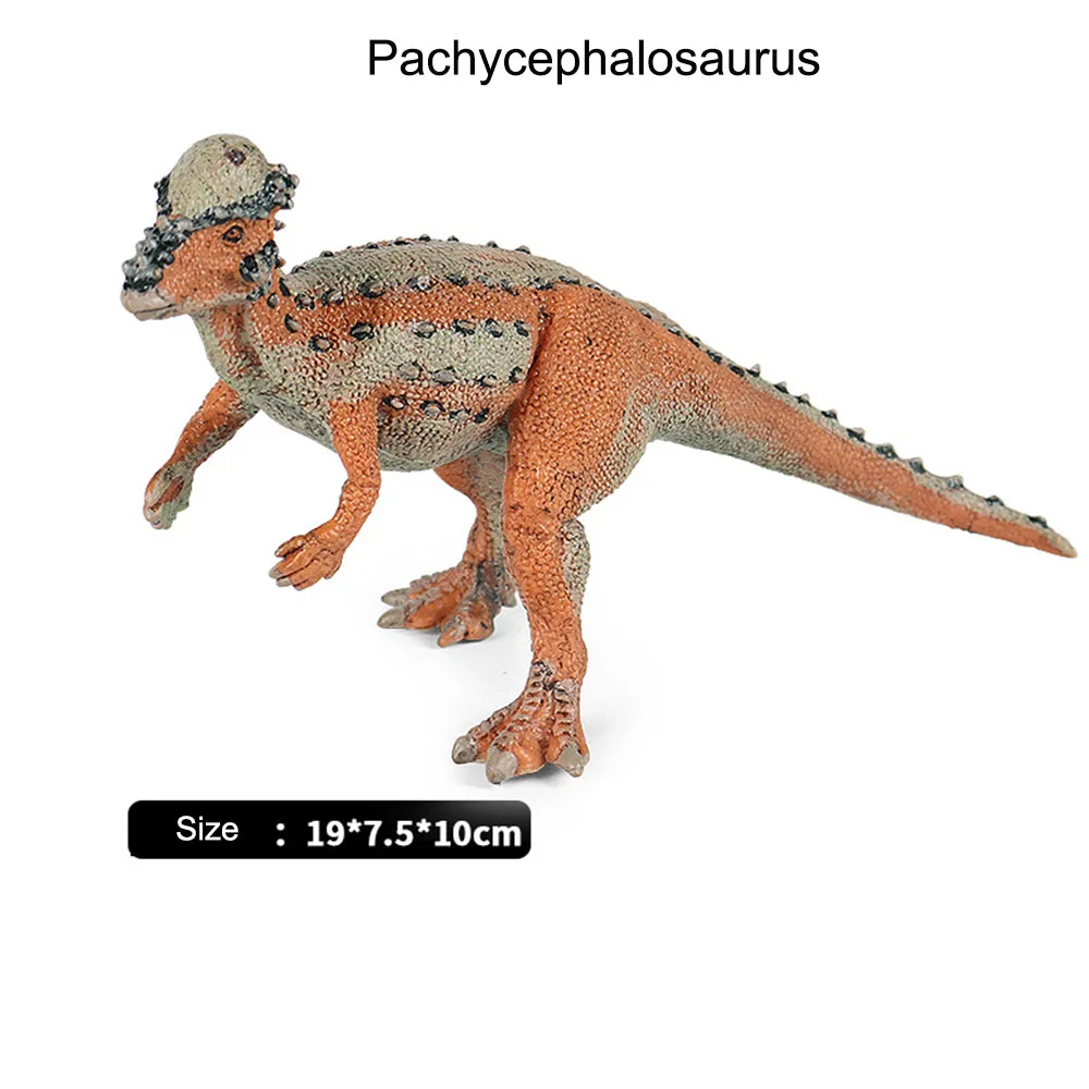 

Simulation Dinosaur Model Solid Pachycephalosaurus Ornaments Horse Figurines Action Figures Collection Kids Boy Birthday Toys