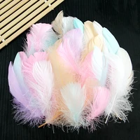 100pcs colourful swan feather plumes natural goose feathers floating for gift boxes filler supplies diy wedding home decor