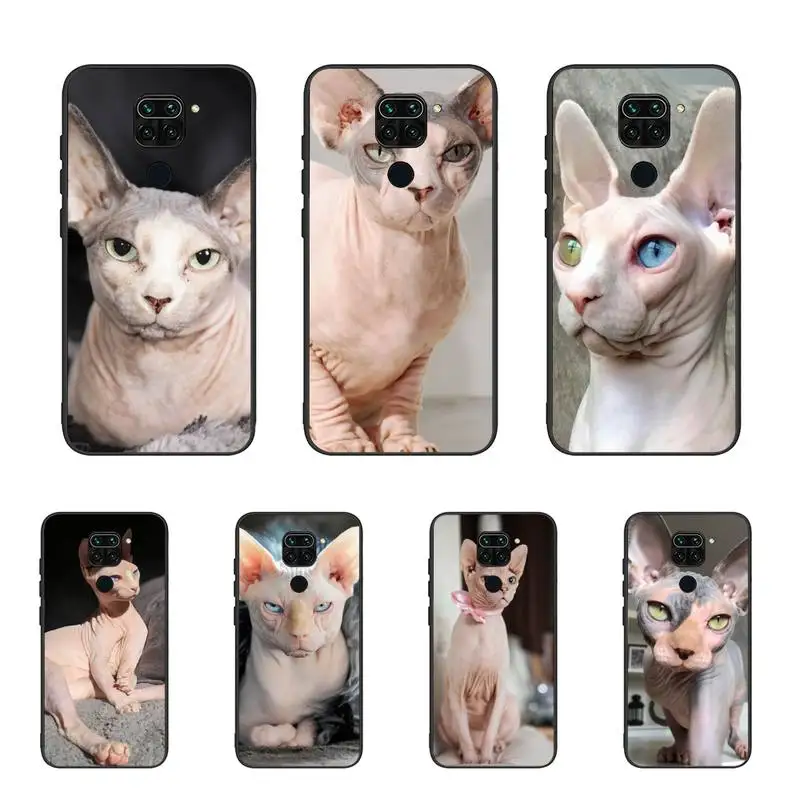 

Animal Sphynx Hairless cat Phone Case For Samsung A02 A20 A30 A31 A32 A40 A50 A51 A52 A70 A71 A72 A80 A91 cover