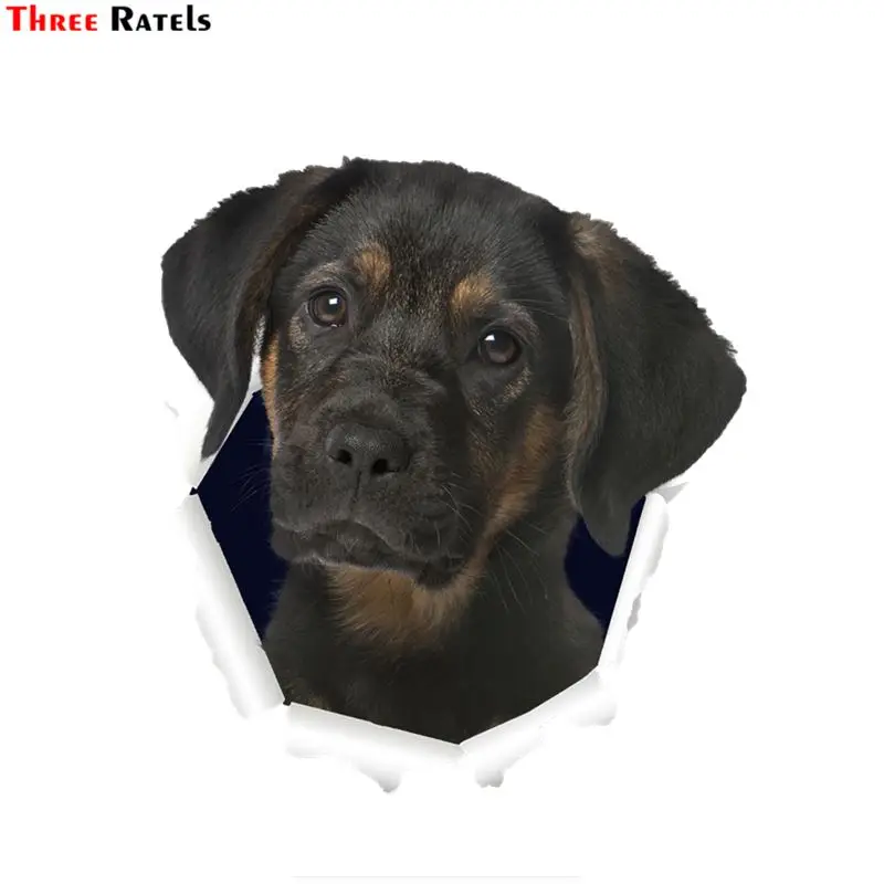 

Три Ratels милые QD15 3D рваная с металлическим дизайном Labrador_Retrievers собака кузова автомобиля Стикеры