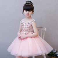 5 11 years pink princess dress embroidery flower girls dresses for weddings ball gown kids pageant dress for birthday costumes