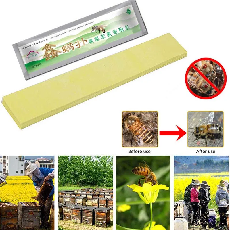 

Hot Sale 20pcs/bag Varroa Strips Fluvalinate Bee Mite Killer Treatment Tool Beekeeping Pest Control Gardening Tool Пчеловодство
