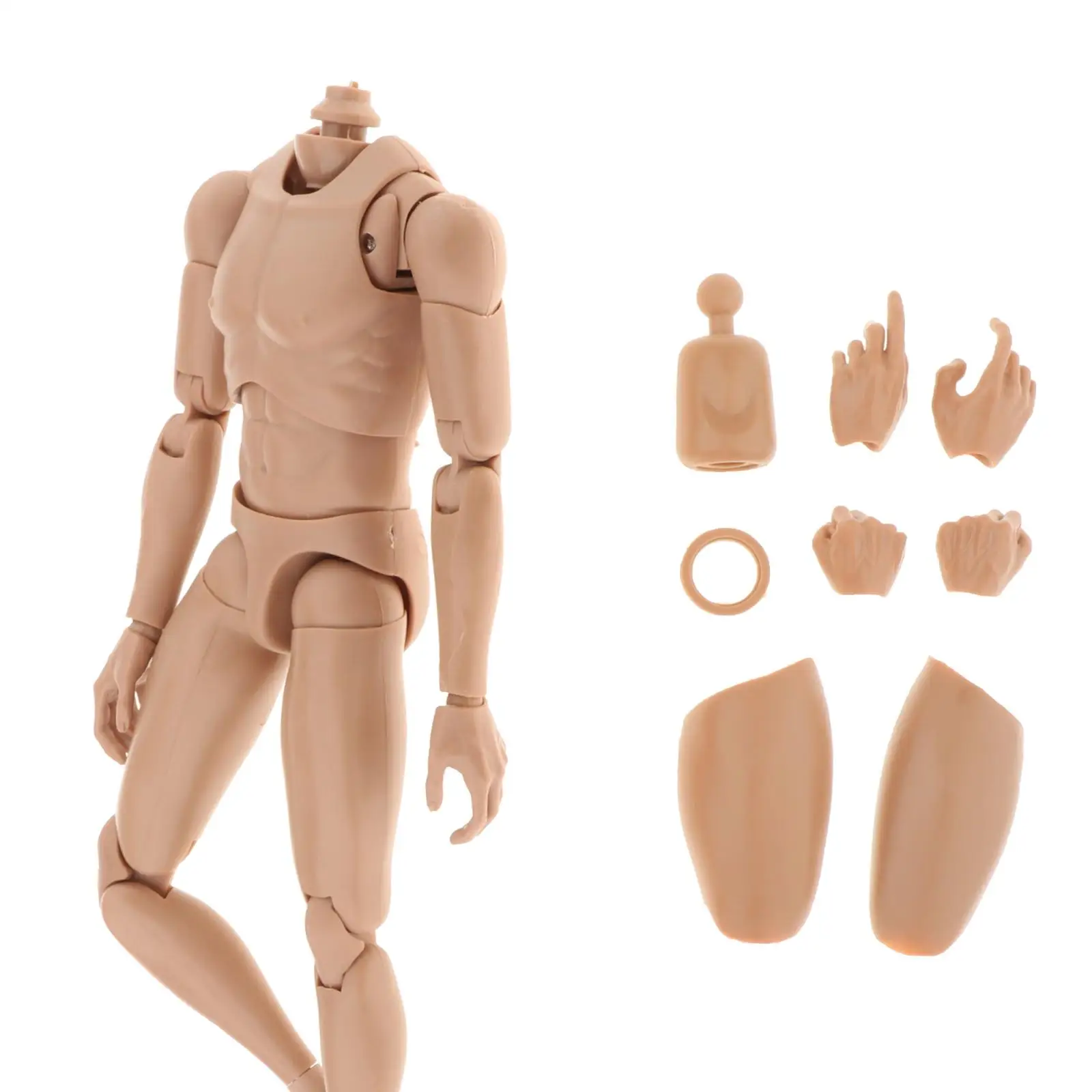 

1/6th Action Figures Soldier Body Narrow Shoulder Muscular Human Sketch Doll