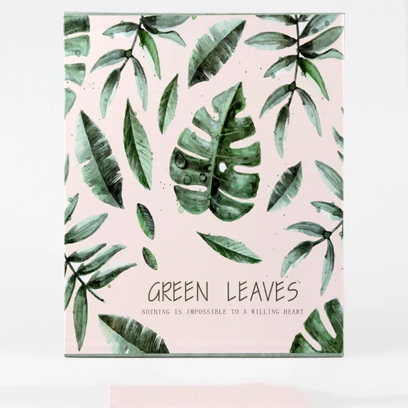 6 дюймовые Пластиковые пломбы вместительные вставки для фотоальбомов